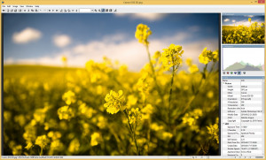 Hornil Photo Viewer  - náhled