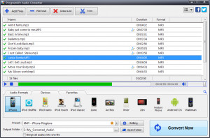Program4Pc Audio Converter - náhled
