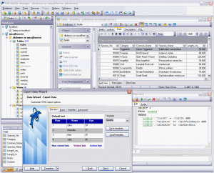 EMS MySQL Manager Professional - náhled