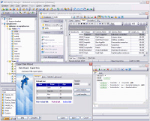 EMS MySQL Manager Professional - náhled