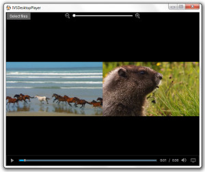 Valt Multi Video Player - náhled