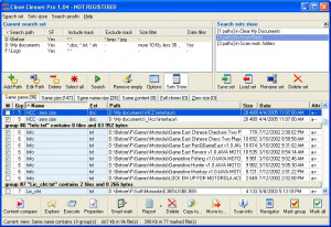 Heatsoft Clone Cleaner - náhled