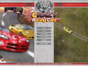 Crazy Racing Cars - náhled