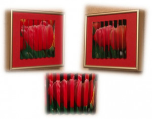 DoublePhoto - náhled