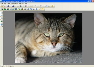 Pos Free Photo Editor - náhled