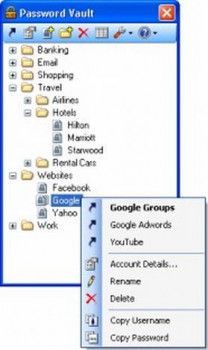 S10 Password Vault - náhled