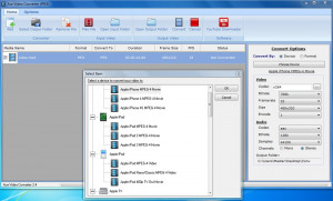 Ace Video Converter - náhled