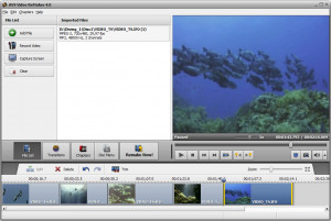 AVS Video ReMaker - náhled