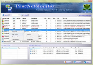 ProcNetMonitor - náhled