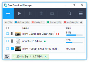 Free Download Manager - náhled