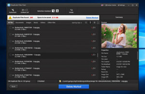 Duplicate Files Fixer - náhled