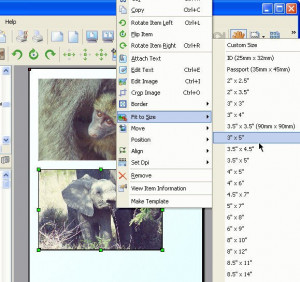 Pics Print - náhled