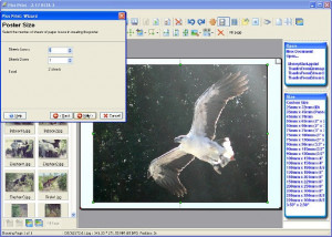 Pics Print - náhled