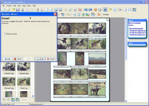 Pics Print - náhled