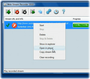 Web Stream Recorder - náhled