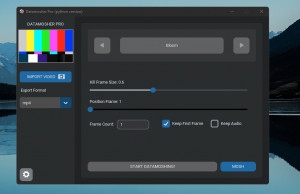 Datamosher Pro - náhled