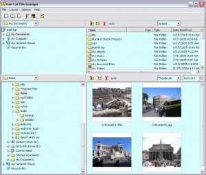 One Cat File Manager - náhled