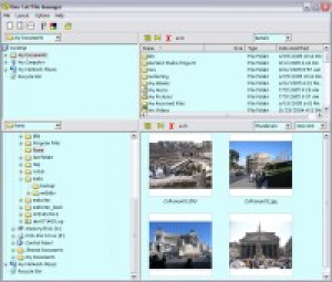 One Cat File Manager - náhled