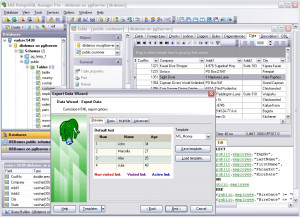 EMS PostgreSQL Manager - náhled