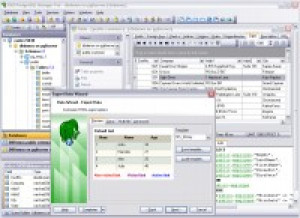 EMS PostgreSQL Manager - náhled