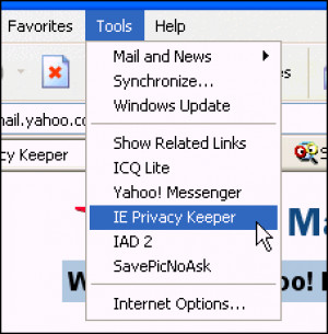 IE Privacy Keeper - náhled