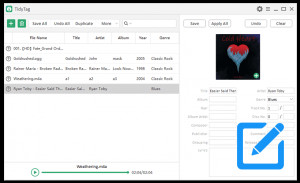 TidyTag Music Tag Editor - náhled