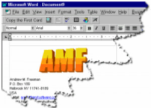 Business Card Creator pro MS Word - náhled