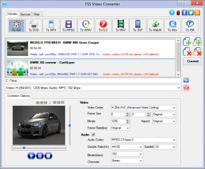 FSS Video Converter - náhled