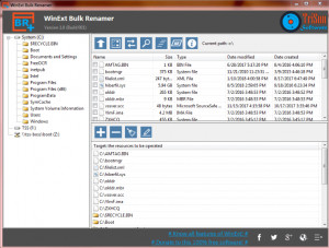 WinExt Bulk Renamer - náhled
