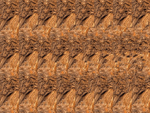 Stereogram magician - náhled
