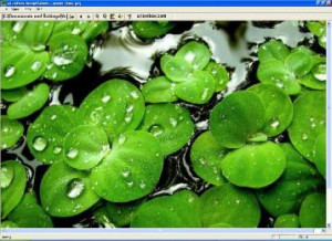 uToolbox Image Viewer Tool - náhled