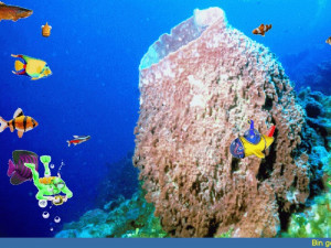 Subsea Screensaver - náhled