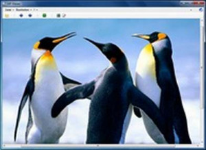 GIF Viewer - náhled