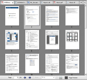 AVS Document Converter - náhled