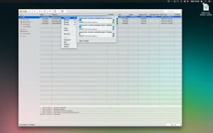 Progressive Downloader  - náhled
