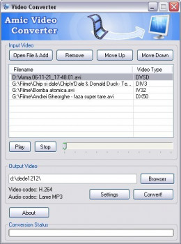 Amic Video Converter - náhled