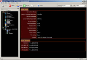 BlackMoon FTP Server - náhled