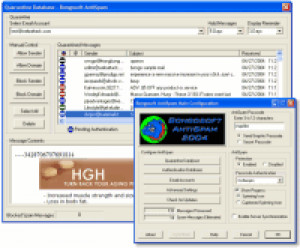 Bongosoft Anti Spam 2004 - náhled