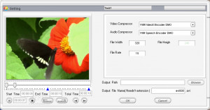 Ann Video Converter - náhled