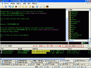 Opera's DC++ - náhled