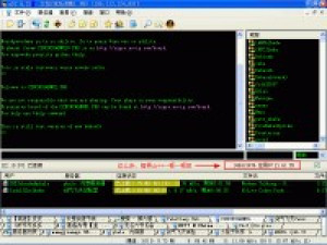 Opera's DC++ - náhled