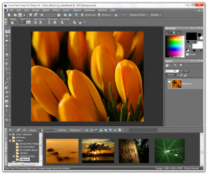 Corel PaintShop Pro - náhled