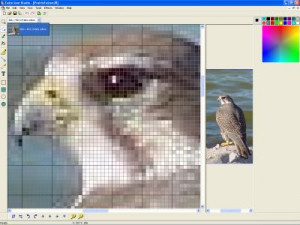 Falco Icon Studio - náhled
