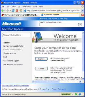 IE Tab for Firefox - náhled