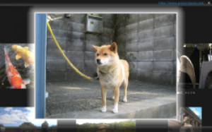 3D Photo Navigation System - náhled