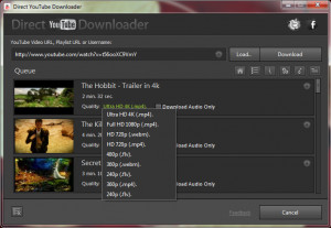 Direct YouTube Downloader - náhled