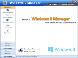 Windows 8 Manager - náhled
