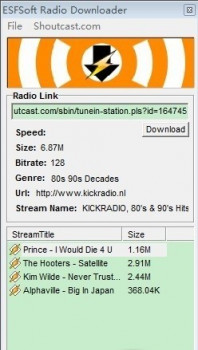 ESFSoft Radio Downloader - náhled
