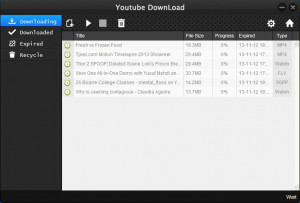 YouTubePlayer - náhled