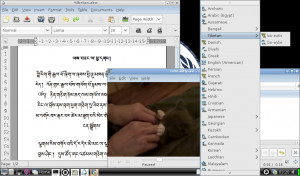 Liberté Linux - náhled